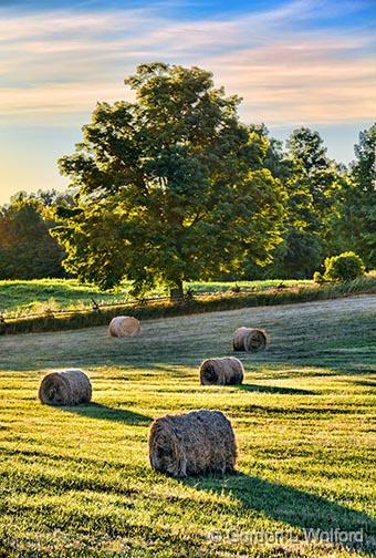 Bales At Sunrise_25412-4.jpg - Photographed near Rideau Ferry, Ontario, Canada.